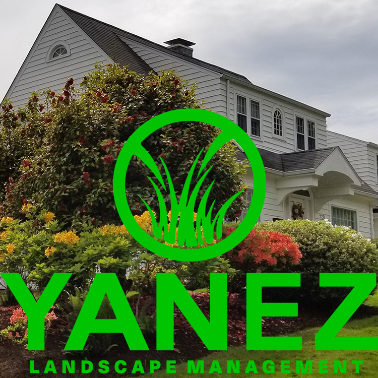 Yanez Landscape Management